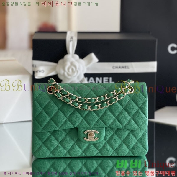 # ÷ Ŭ ĳ A1113-2100-4