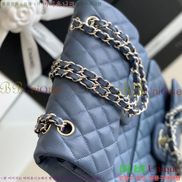 # ÷ Ŭ ĳ A1113-2100-5