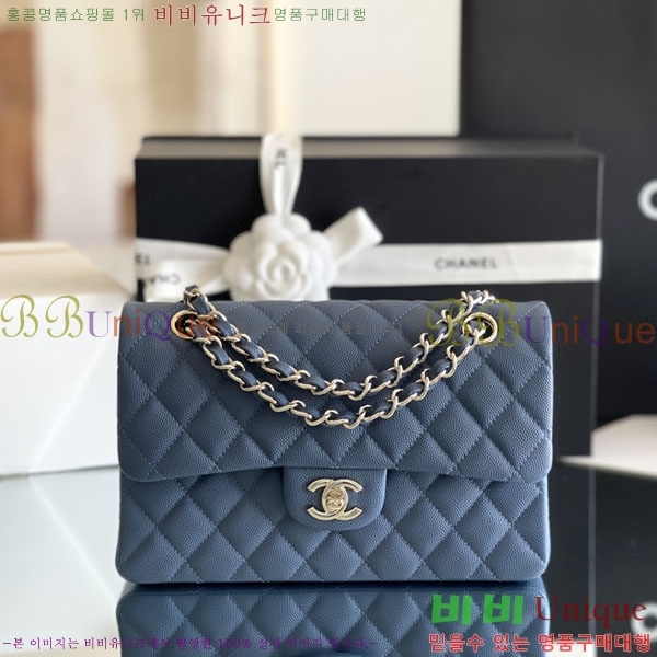 # ÷ Ŭ ĳ A1113-2100-5