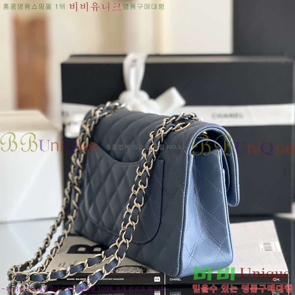 # ÷ Ŭ ĳ A1113-2100-5