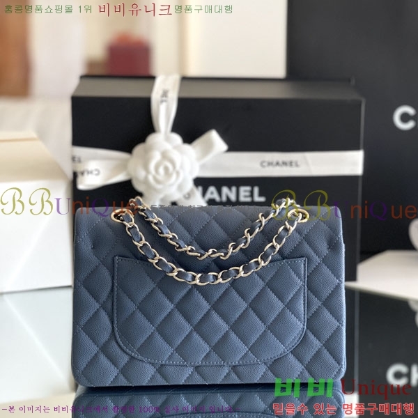 # ÷ Ŭ ĳ A1113-2100-5