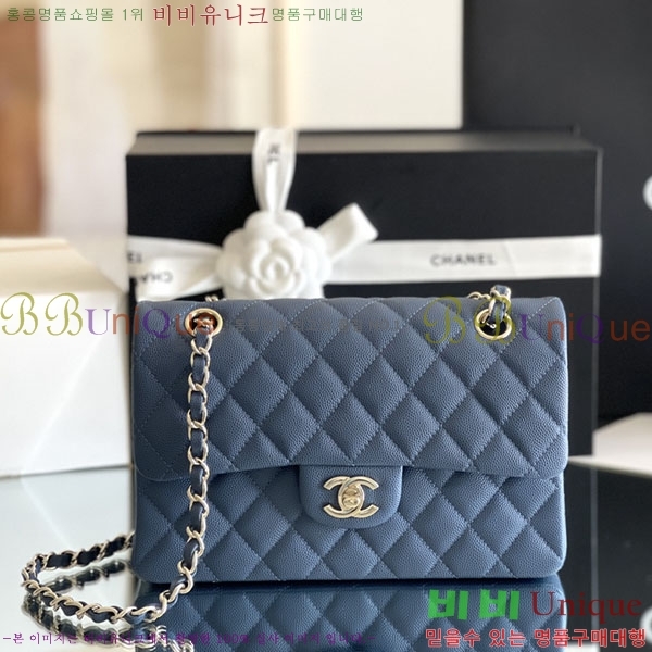 # ÷ Ŭ ĳ A1113-2100-5