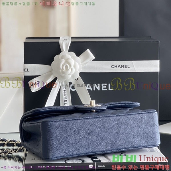 # ÷ Ŭ ĳ A1113-2100-12