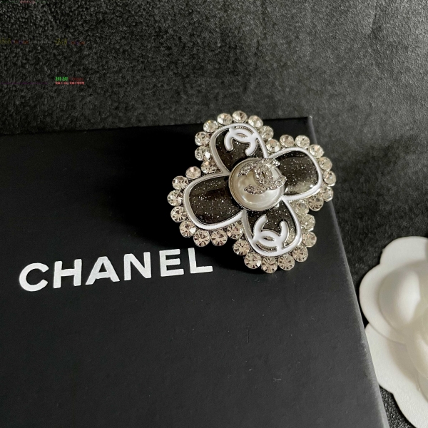  * ġ CH6234208-4