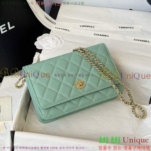 #* Ŭ WOC ü ̴Ϲ AP4241-219