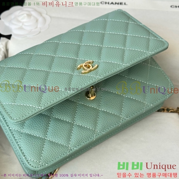 #* Ŭ WOC ü ̴Ϲ AP4241-219