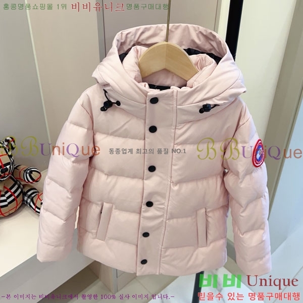 Ű ĳٱ ٿ е CN3681634