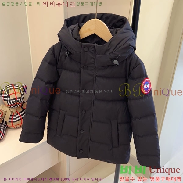 Ű ĳٱ ٿ е CN3681634